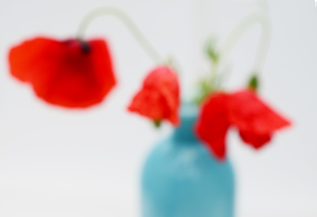 Poppies Blurred by fbailey