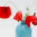 Poppies Blurred by fbailey