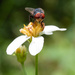 Goggles on and ready for take off.  by dutchothotmailcom