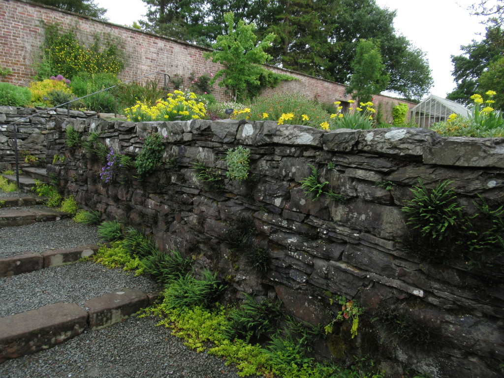 walled garden wall by anniesue