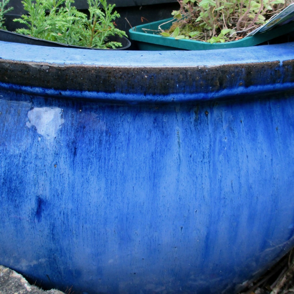 Blue Pot by filsie65