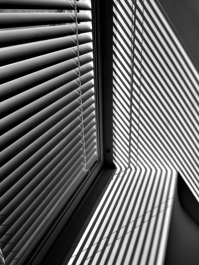 Sun and shadows through the blinds by etienne