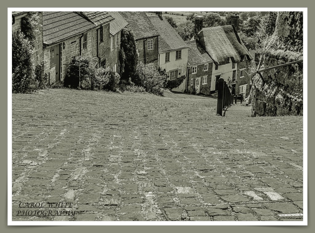Cobblestones,Gold Hill,Shaftesbury (best on black) by carolmw