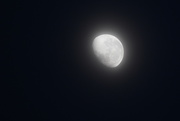 10th Jun 2020 - The Moon a Glow