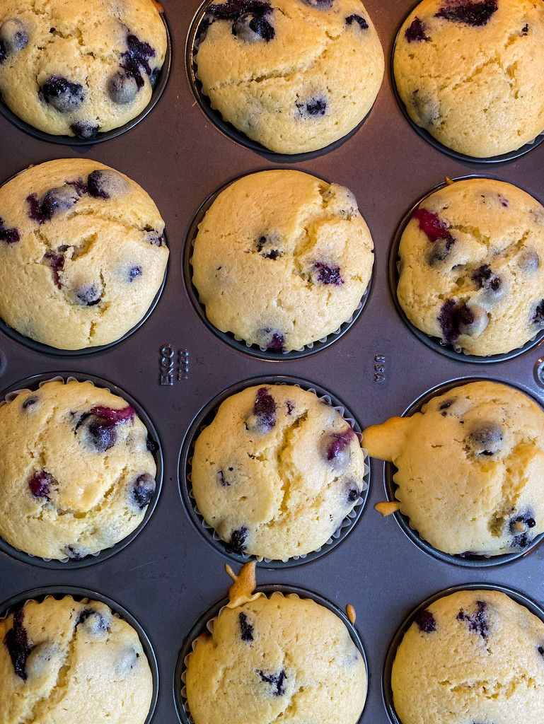blueberry muffins by jernst1779