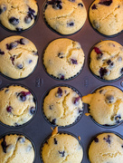 11th Jun 2020 - blueberry muffins