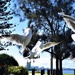 Squabbling Seagulls ~   by happysnaps
