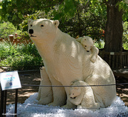 11th Jun 2020 - Polar bear and cubs out of Legos.
