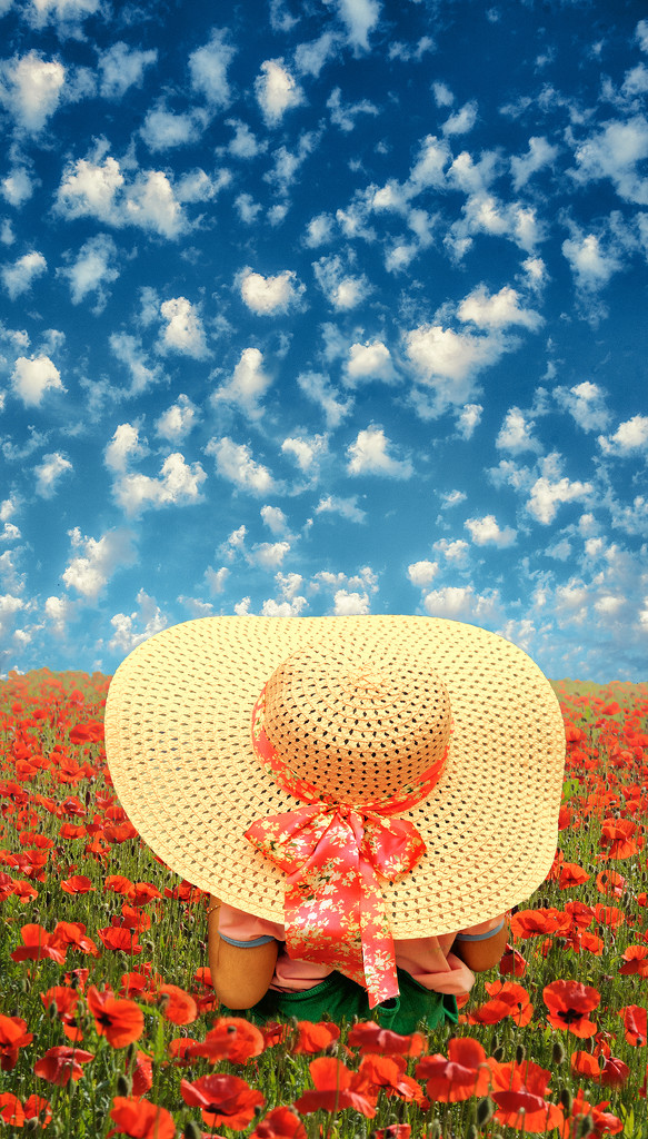 when the clouds blooming with the flowers,... by jerome