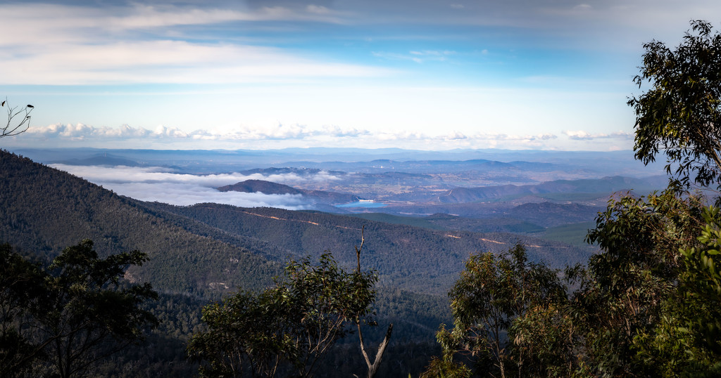 View from Mt Coree by pusspup