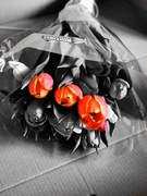 11th Jun 2020 - Tulips ~ Colour Splash 