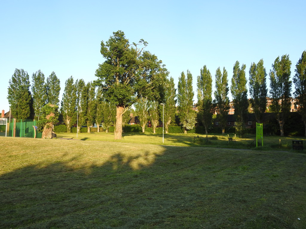 Heathfield Park by oldjosh
