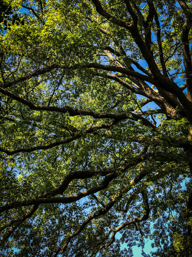 View while reading in driveway by jbritt