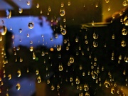 13th Jun 2020 - Raindrops on the window