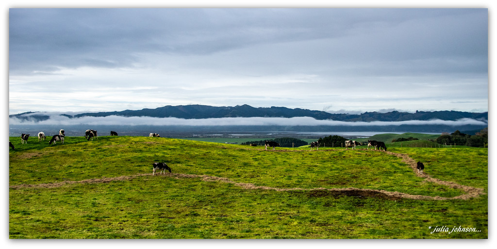 Aotearoa.... Land of the Long White Cloud.. by julzmaioro