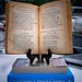 Old Book, New Book, Blue Book, Borrowed book   by theredcamera