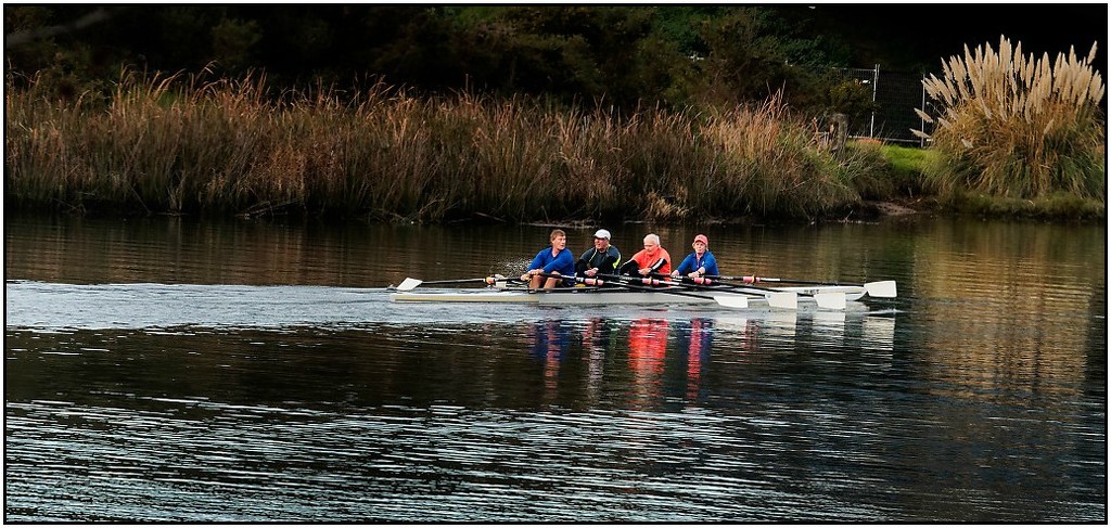 Rowing Reflections (Best on black) by nzkites