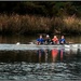 Rowing Reflections (Best on black) by nzkites