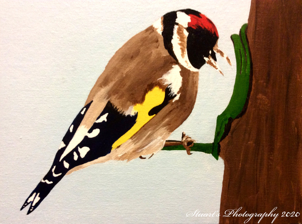 Goldfinch (painting) by stuart46