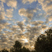 Morning Sky by nickspicsnz