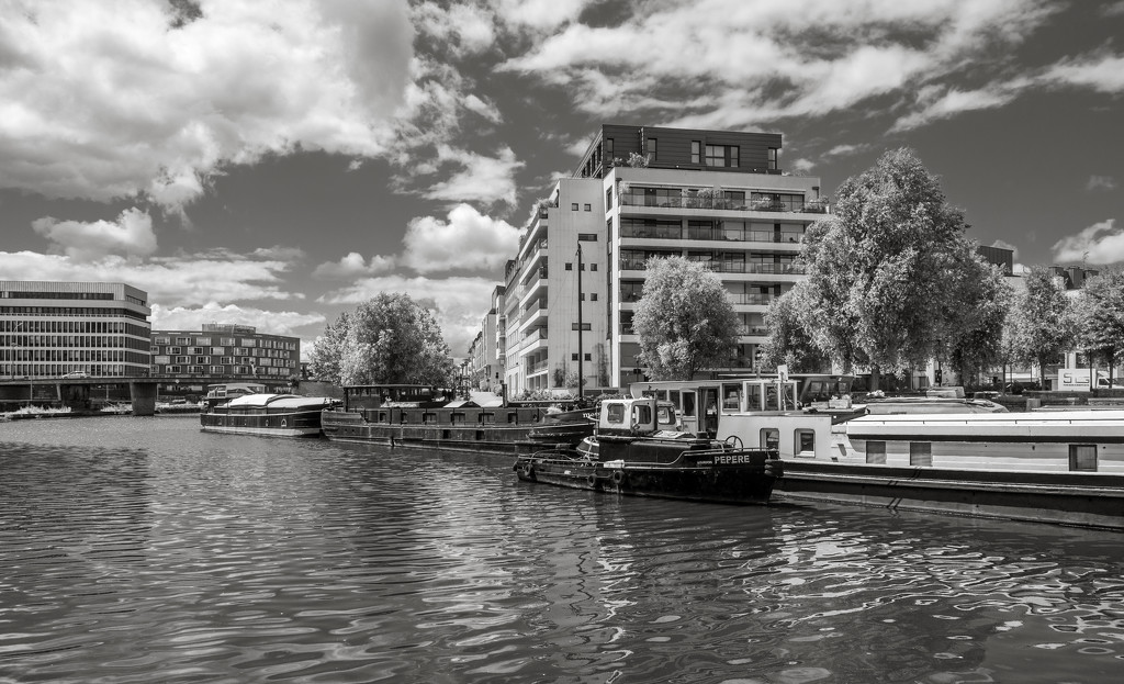 Houseboats on the River Vilaine in the centre of Rennes by vignouse