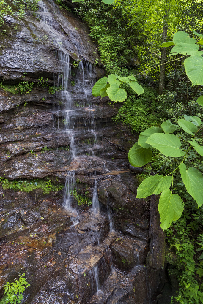 Ada-Hi Falls, Blackrock Mountain State Park, GA by kvphoto