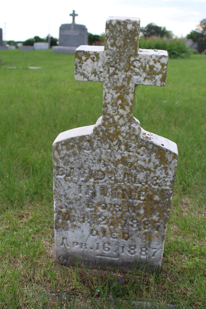 James, son of David and Alice Irvine by mcsiegle
