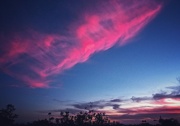 14th Jun 2020 - One Pink Cloud