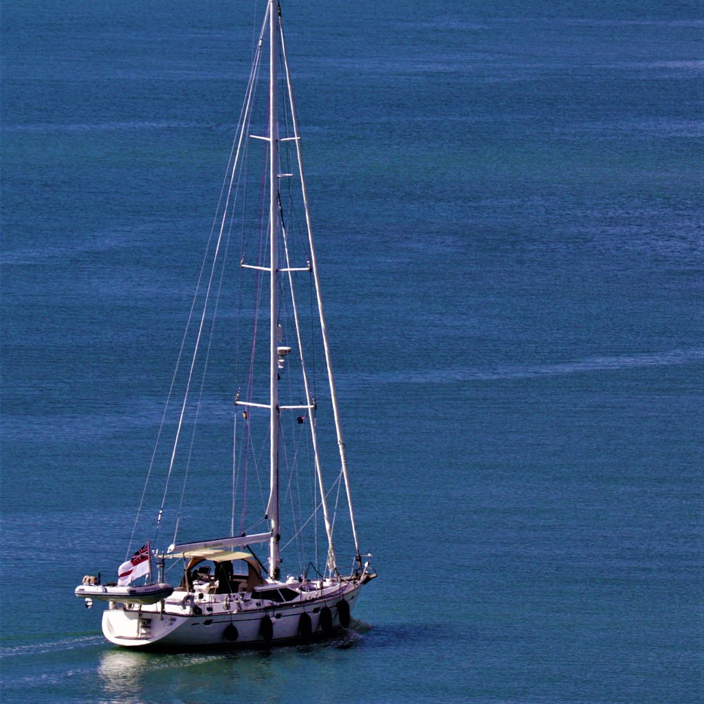 A Lone Sailor by sandradavies