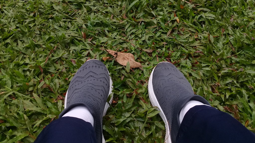 sepatu di atas rumput yang basah by arnica17