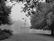 16th Jun 2020 - Yet another foggy morning