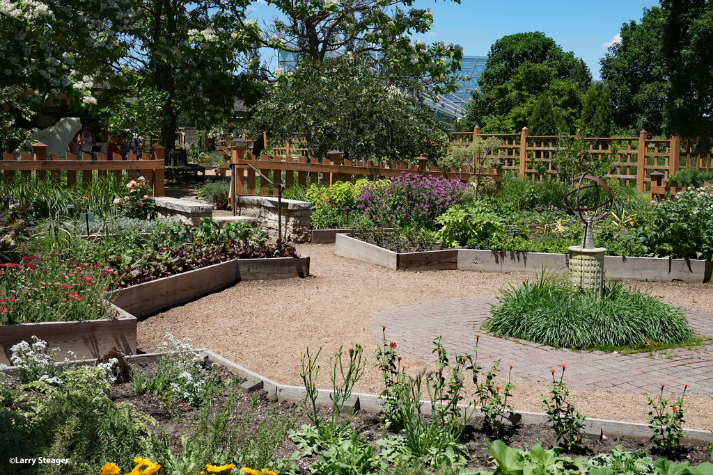 Part of the herb garden by larrysphotos