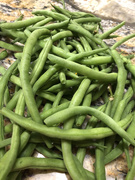 14th Jun 2020 - Fresh Green Beans for Dinner