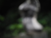 18th Jun 2020 - Out of focus