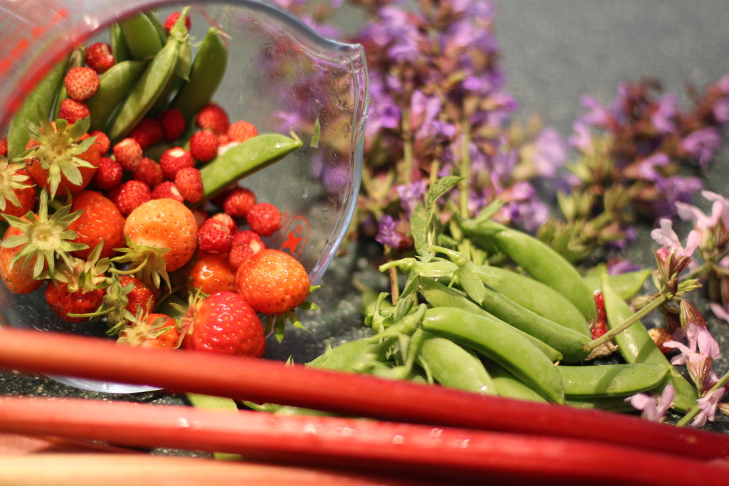 Garden produce. by callymazoo