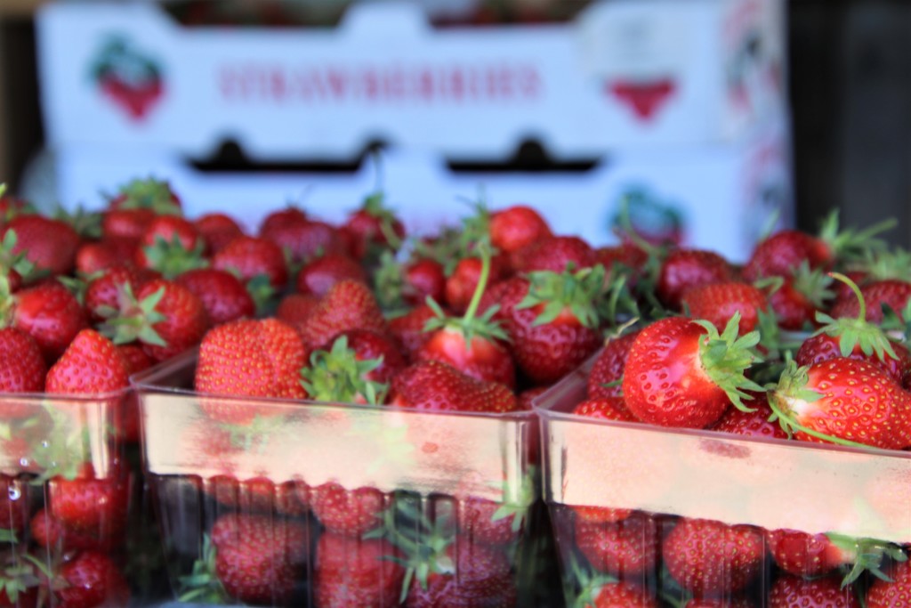 Strawberries by edorreandresen