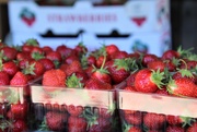 18th Jun 2020 - Strawberries