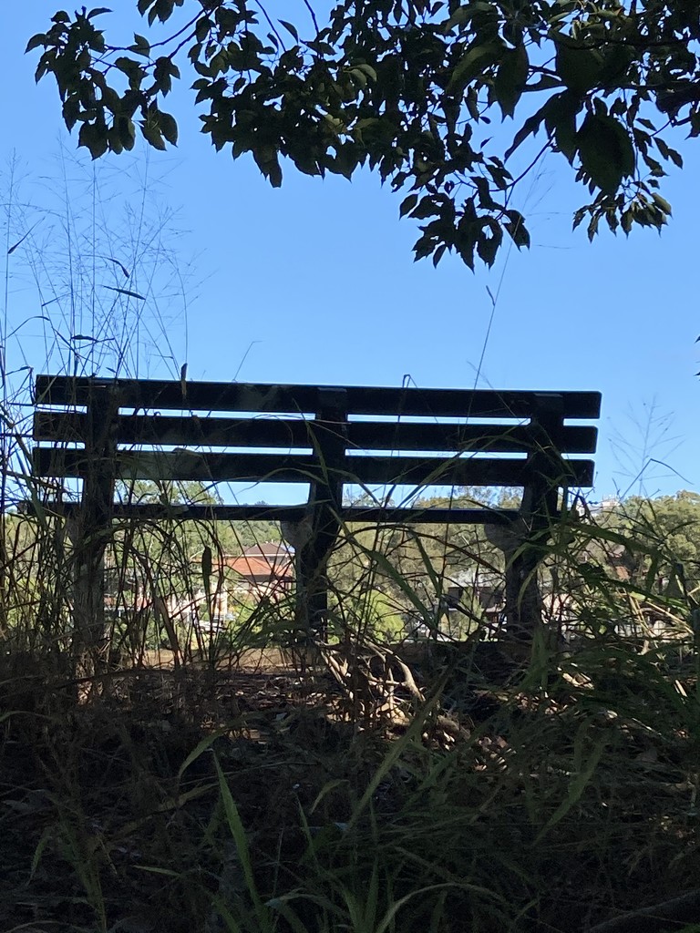 Park Bench by alisonjyoung