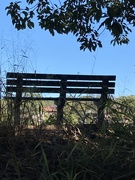 17th May 2020 - Park Bench