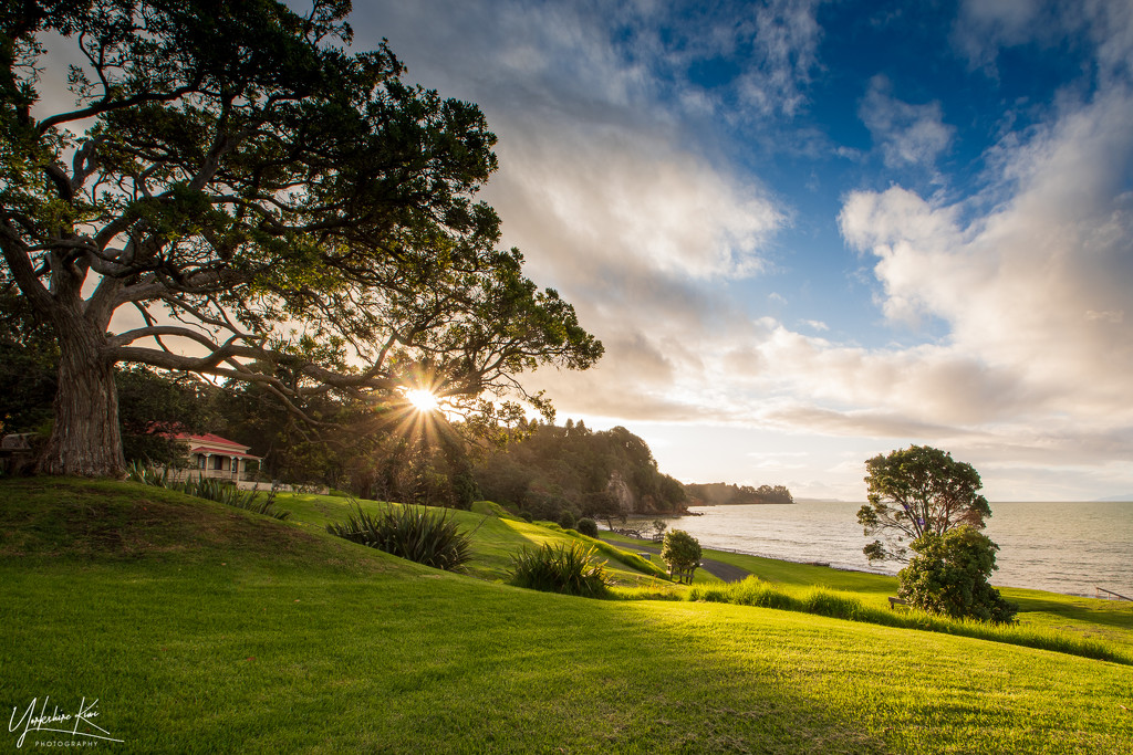 Tāpapakanga Regional Park by yorkshirekiwi