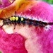 Vapourer Moth caterpillar by lellie