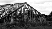 16th Jun 2020 - Dilapidated green house