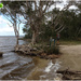 Elanda Point, Sunshine coast, Australia by kerenmcsweeney