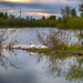 Swan Lake Sunrise  by pdulis