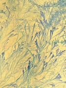 20th Jun 2020 - Seaweed abstract