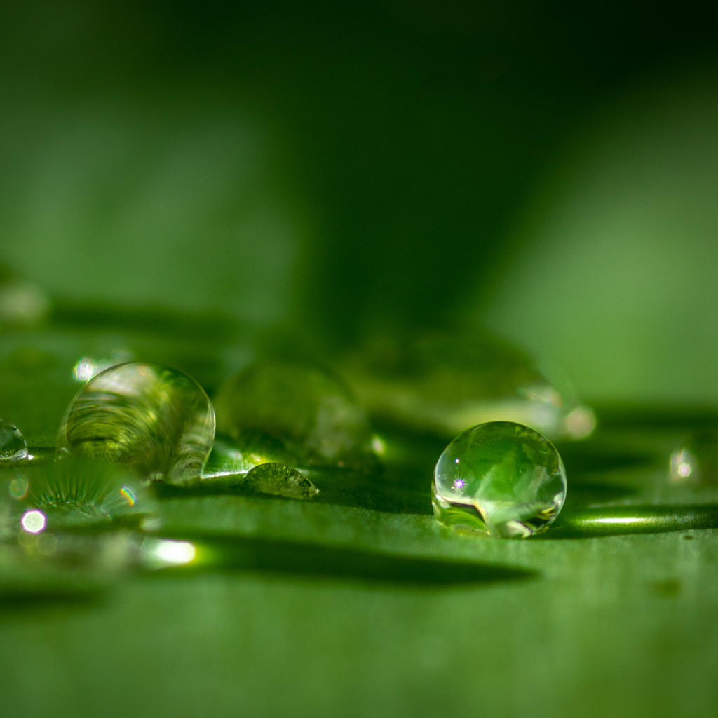 Droplet by spanner