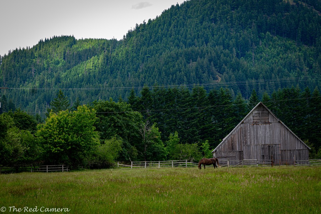 Packwood Farmstead by theredcamera