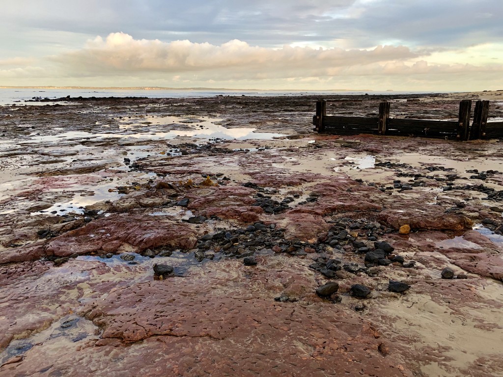 Rockpool art by pictureme