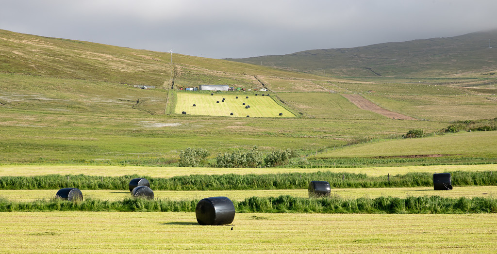 Black Bales by lifeat60degrees