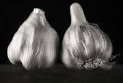 22nd Jun 2020 - garlic